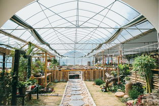 國慶放大招 百島洞頭十款精品主題游震撼來襲,準(zhǔn)備好接招了嗎