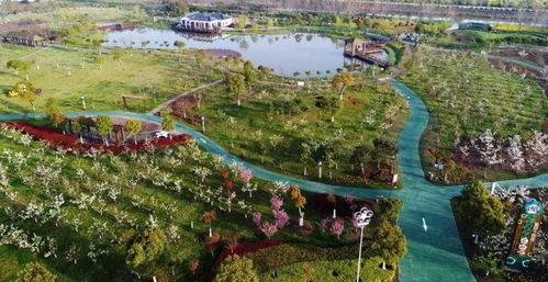 蘇心游 最鹽城丨全省推介 鹽城這4條旅游線路入選江蘇省鄉(xiāng)村旅游精品線路