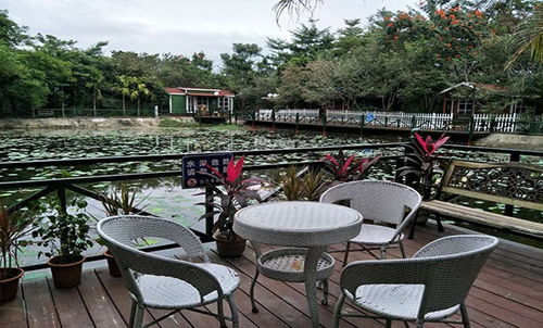 特色客棧專業(yè)團隊在線服務(wù) 海南荷花生態(tài)園