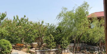 嶗山北宅迦南美地生態(tài)園門票,嶗山北宅迦南美地生態(tài)園門票預訂,嶗山北宅迦南美地生態(tài)園門票價格,去哪兒網(wǎng)門票