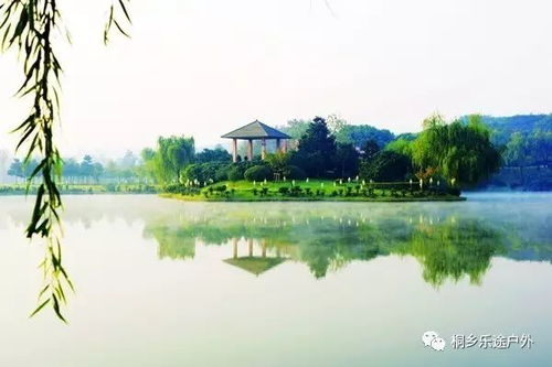 送土雞9月19號周二 靈谷冬,龍背山,華東百暢生態(tài)園,包門票,包中餐,包無購物,再送鮮活土雞 旅游 網(wǎng)