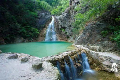 破局出圈，是每個人都該有的勇氣——九龍潭生態園啟示錄