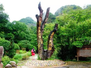 16周歲以下免票游世遺，668元泰寧雙動車2日游 大金湖、寨下大峽谷、九龍潭、尚書第全覽