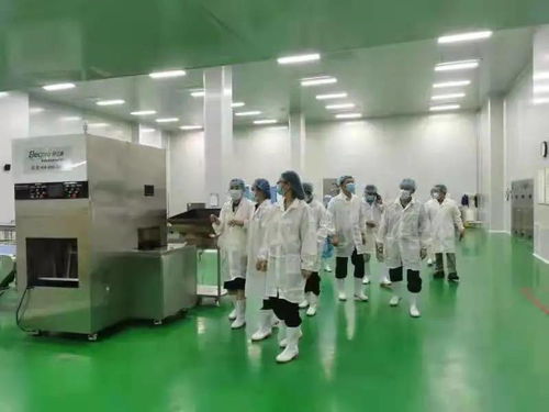 深化職能服務 賦能區域發展——國家市場監管總局食品經營司赴海口高新分局調研指導