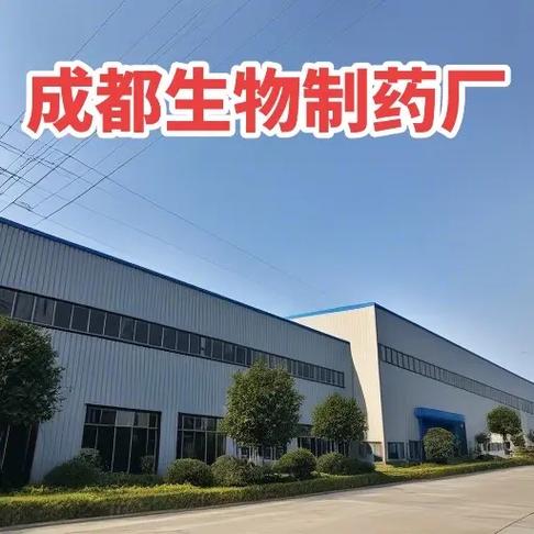 企業管理咨詢 釋放組織潛能，驅動持續增長