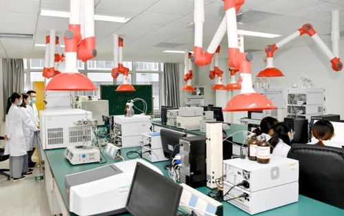 高質量發展進行時（十一） 濰坊醫學院醫教研協同，服務健康山東的實踐與探索